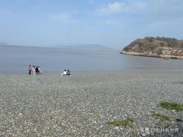 醉在桃花岛 文‖井明新