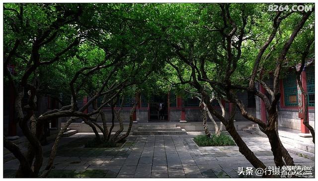 山东行游影记（6）—济南趵突泉（六）
