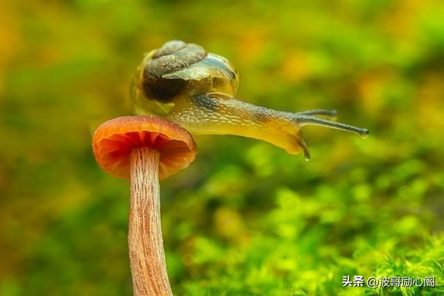 属蛇人：这辈子最大的靠山，不是钱，不是权，而是这6大法宝