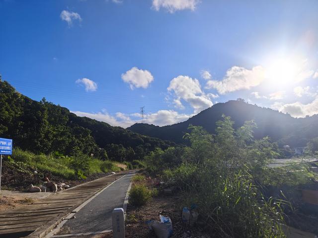 西丽湖绿道，慢慢骑慢慢地欣赏。