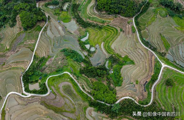 海南五指山：夏日牙胡梯田