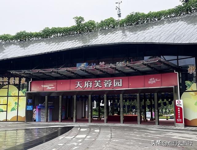 成都，最不可小看的公园，雨中超美，凉风阵阵，公共交通直达！