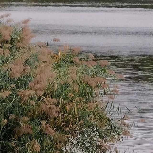 博物馆秋之旅丨赏景读史,秋光中与这四家纪念馆邂逅——