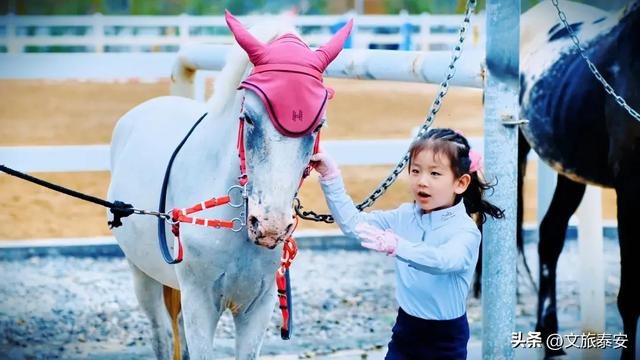 -10°C也拦不住！被窝里哪有马背上潇洒？小泰成功解锁泰安冬季最野玩法！