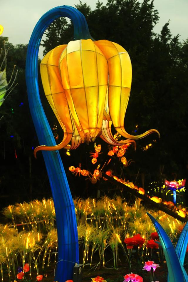 桂林：首届非遗千灯游园，光影艺术璀璨盛宴！