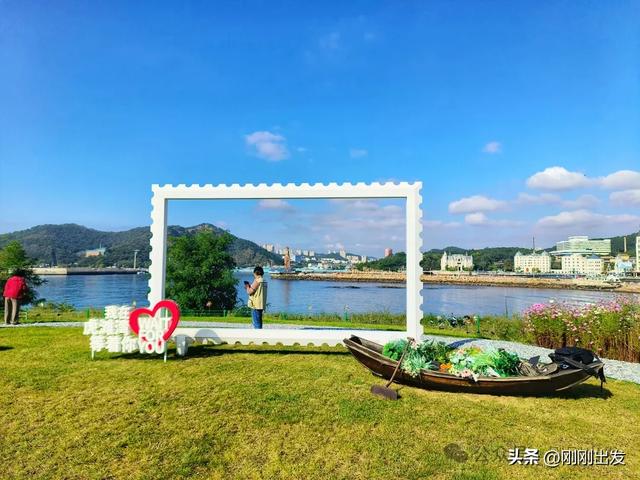 大连发现一片免费格桑花，太美了