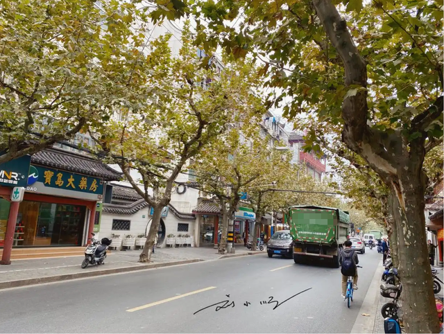 上海这座古镇“太尴尬”：位置优越却发展平平，藏在市区少有人知
