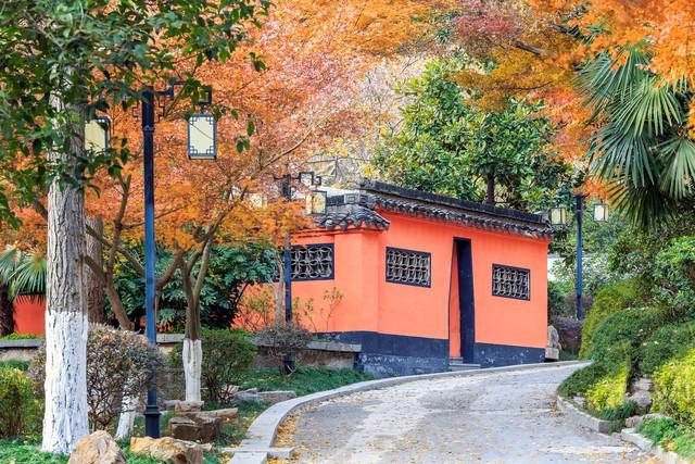 南京真糊涂啊！这十个堪比AAAAA级的景点！秋游很美赶快宣传吧！