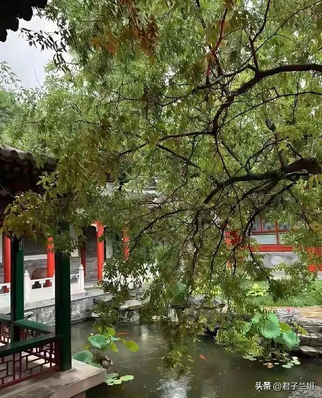 李湘在平台晒自家北京小院，大到让网友以为是景区，真的太有钱了