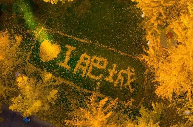 肥城秋冬的童话，收到了吗～满满诗意，满满爱！