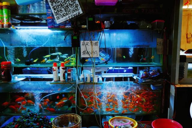 成都最适合逛吃的区域，每口都是市井味！