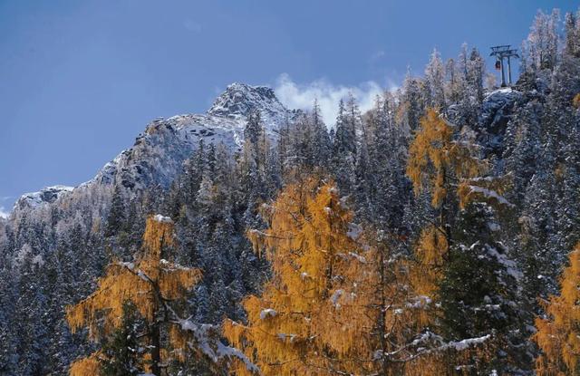 立冬启新章 | 在 4860冰川之巅邂逅冬日限定美好