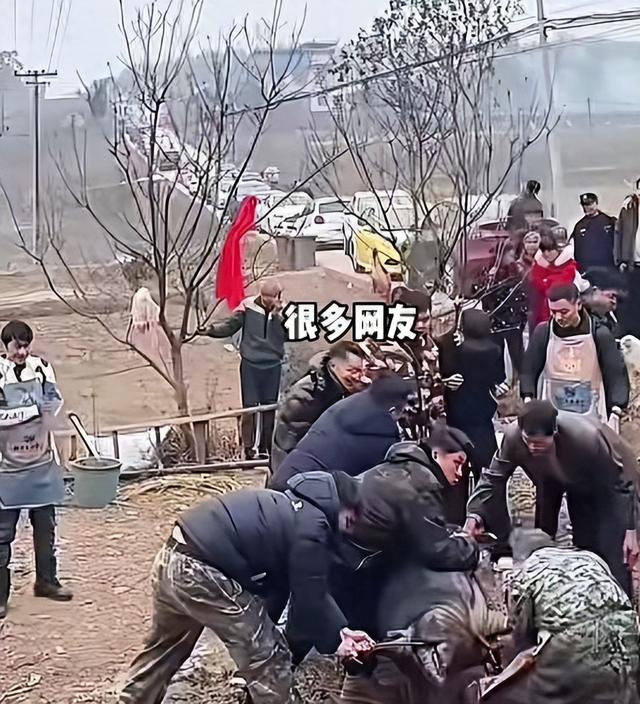 千人杀年猪爆火才几天	，令人恶心的一幕就发生了，网友：吃相难看