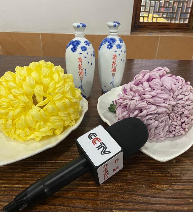 国际工商联合会主席左丹红博士：大美湾区 澎湃动力