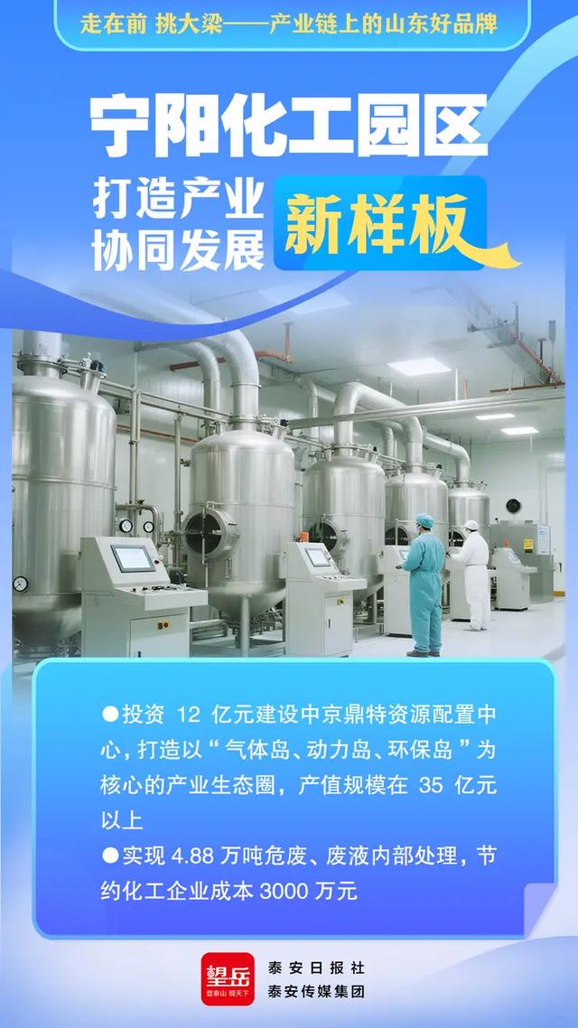 走在前 挑大梁——产业链上的山东好品牌丨望岳AI海报·宁阳化工园区打造产业协同发展新样板