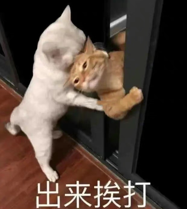 刚刚公布这红米 Turbo 5 ，看完我是真想买啊！