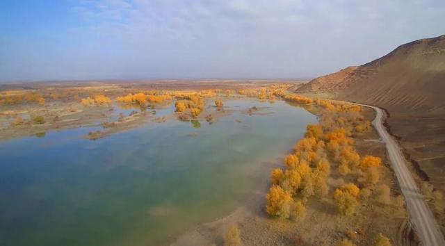南疆秋季胡杨旅游快讯