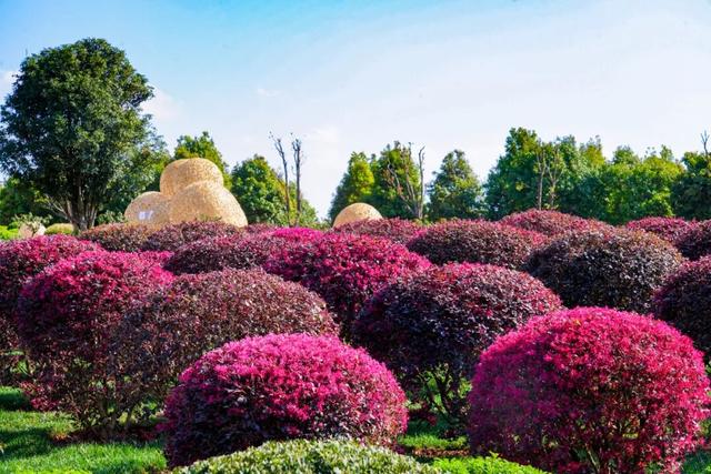 弥勒太平湖，免门票！