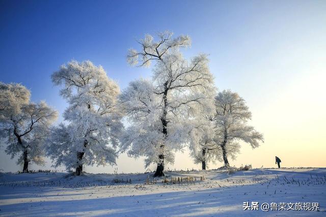 北国冬韵：邂逅东北冰雪秘境的极致浪漫