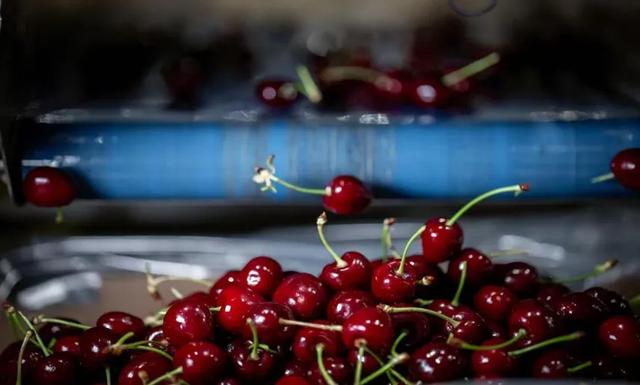 天津有海吗?天津的海有什么?