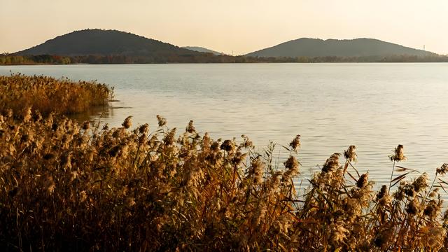 桂雨织金庐州景，枫红映水巢湖秋 —— 合肥秋日漫游纪行