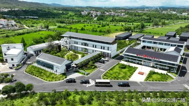 公路“金钥匙”打开大悟“双色”产业宝藏