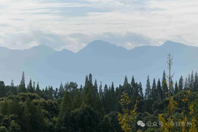 10月亮相！崇州新增一处度假地，邀你共赴诗和远方