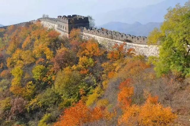 今天进山赏景,秋天的山色太美了,简直是摄影家的天堂