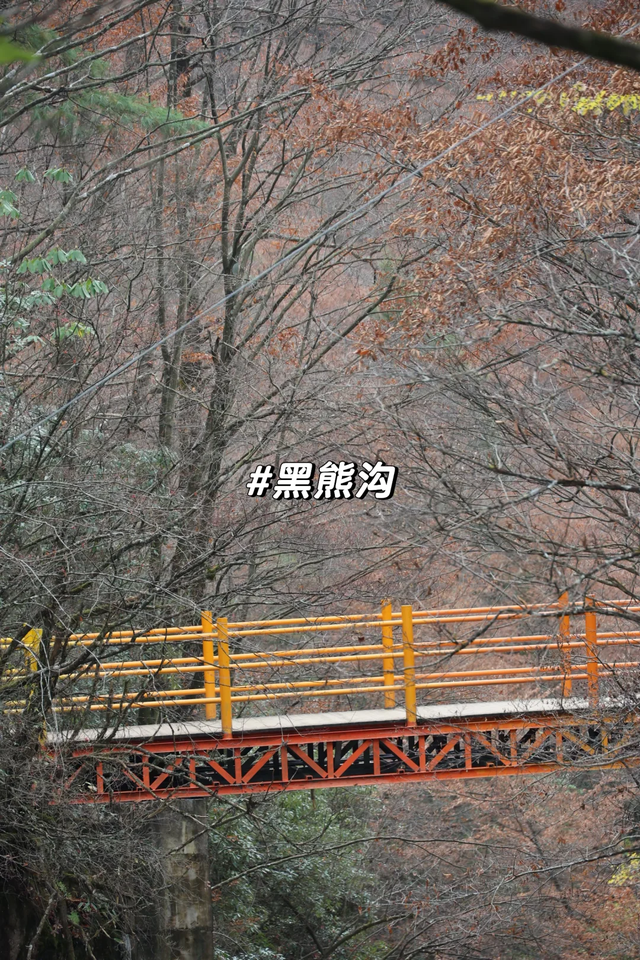 听劝！别再去光雾山米仓山人挤人，红叶没有啦！