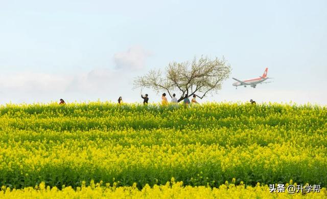 喜讯!瞿上田园正式获评国家3A级旅游景区!