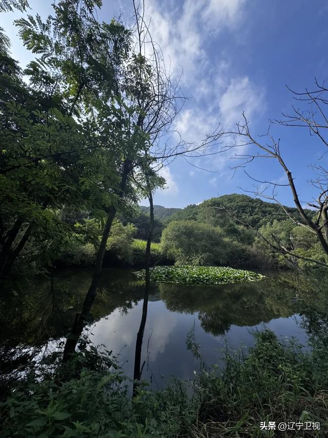 辽宁版"小川藏线"曝光!这条绝美自驾公路,藏着东北最野的风景!