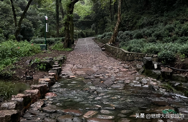 杭州九溪十八涧攻略：来一趟秋日City work吧，有三大特殊玩法！