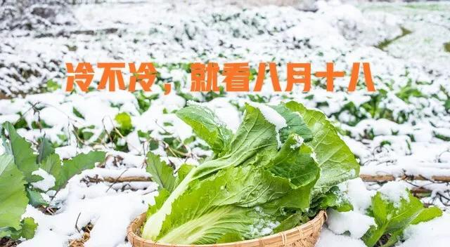 “冷不冷，就看八月十八”，今日八月十八，今冬有多冷；农谚咋说