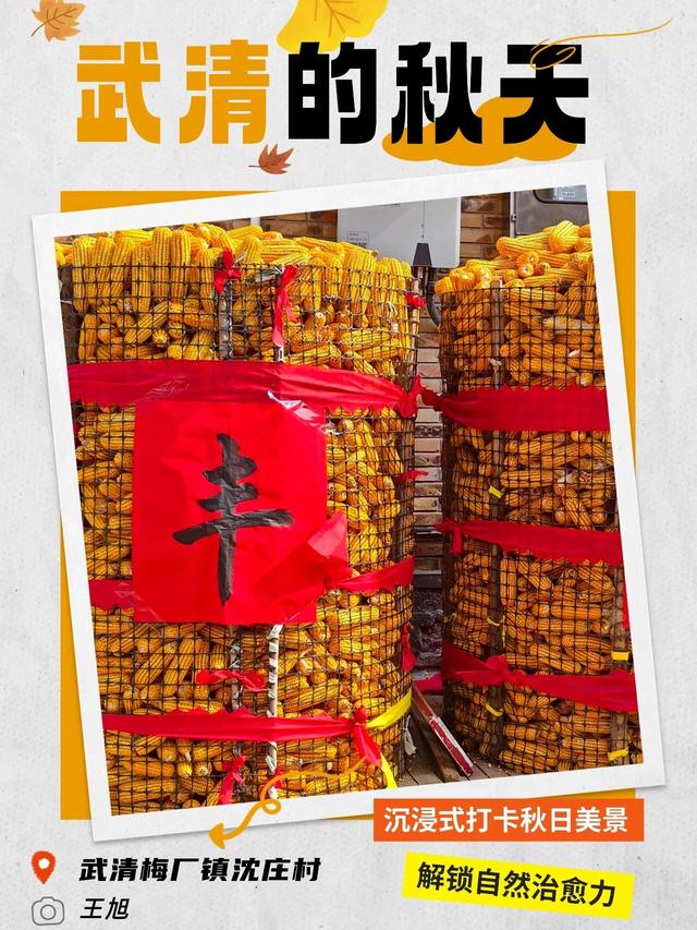 嗨，你的秋天留住了吗？