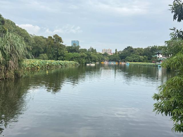 桂湖公园