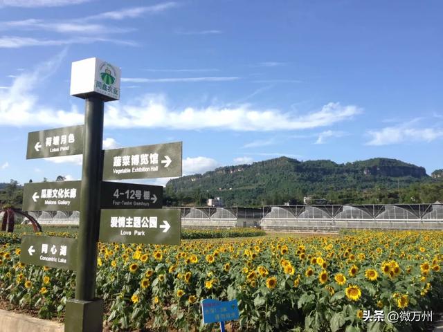万州十大必打卡点！官宣推荐