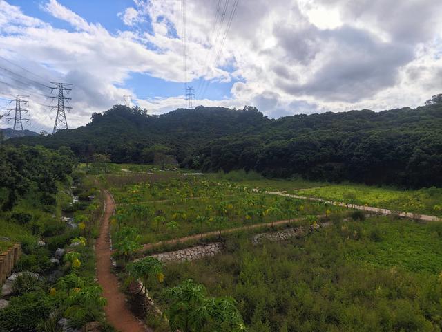 西丽湖绿道，慢慢骑慢慢地欣赏。