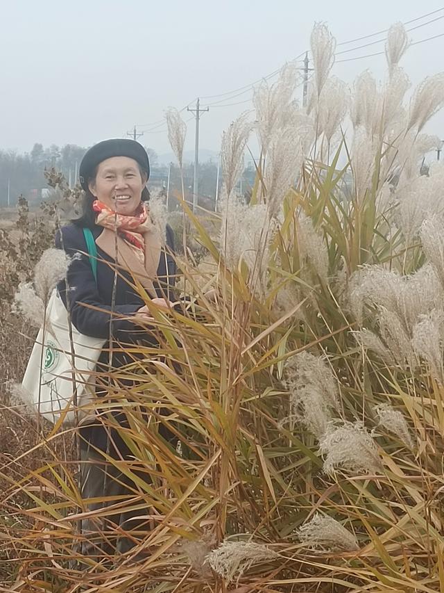 大汉口——→小河口