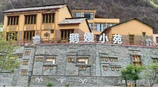 避暑胜地·康养宕昌｜宕昌民宿：诗意与康养交织的旅居之所