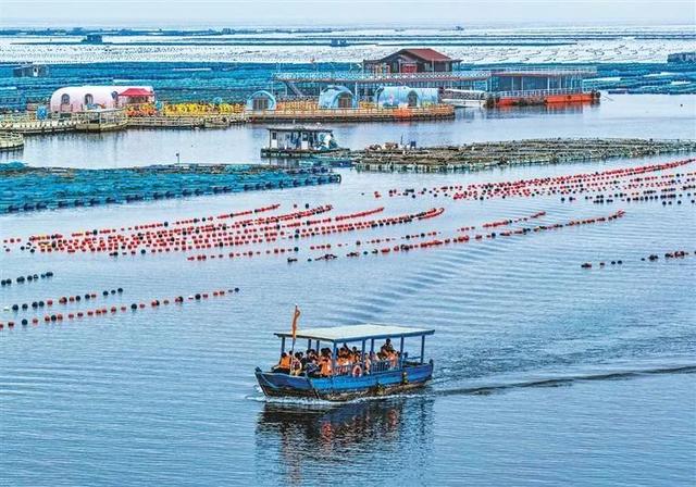 30余万人次、1.2亿元消费！石岛滨海文旅亮点纷呈
