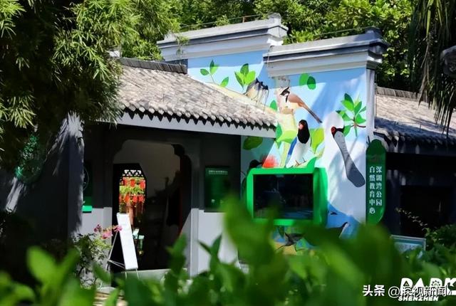 跟着胡歌、童瑶、王安宇打卡深圳地标！