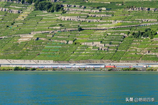 欧游杂记（2）‖ 日内瓦湖畔的美丽：从日内瓦到蒙特勒