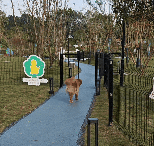 汪汪队！集合！