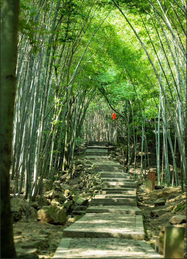 苏州秋天打卡线路推荐→