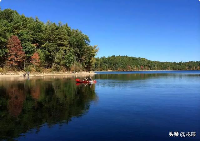 资本喊的绿色环保是骗局？颠覆现有经济模式，才能避免人类灾难！