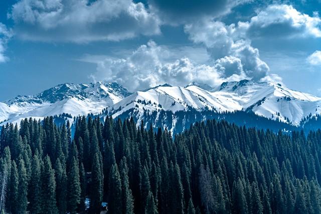 新疆真糊涂啊！赛过东北的雪景顶流，外地人都喜欢，赶快宣传吧！