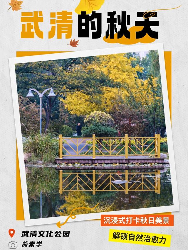 嗨，你的秋天留住了吗？