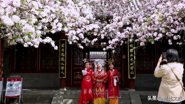 "奔县"首选!来这儿就对了!