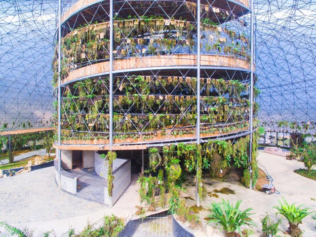 绿水青山绽新颜：长泰唐宋花仙谷打造农文旅康养融合新样本