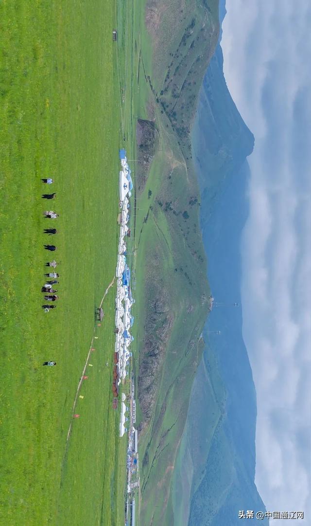 夏天，请到山地草原来